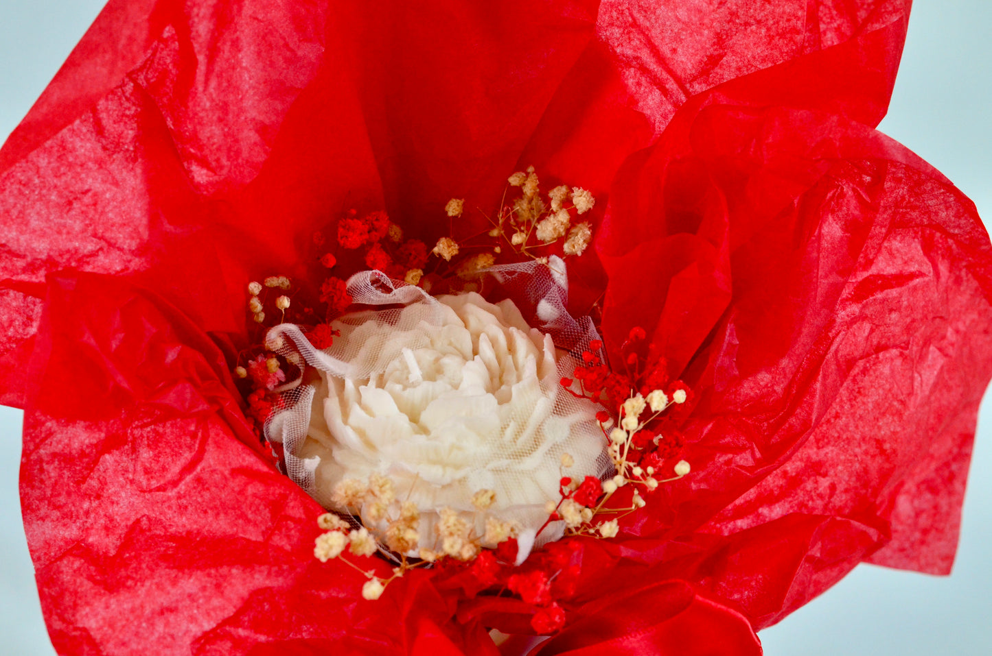 Royal Peony