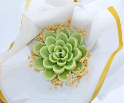 Pure Lotus